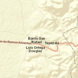 Tepezalá Street Map