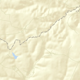Buenavista Street Map