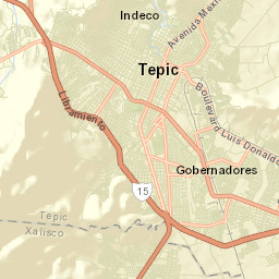 Tepic Street Map