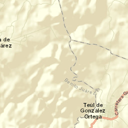 Teúl de González Ortega Street Map