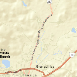 Chipinque de Arriba Street Map