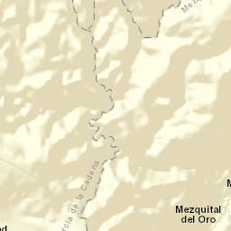 Mezquital del Oro Street Map