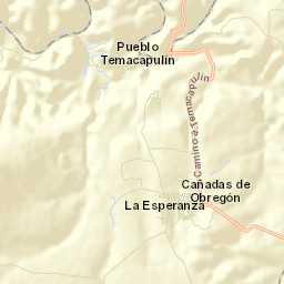 Cañadas de Obregón Street Map