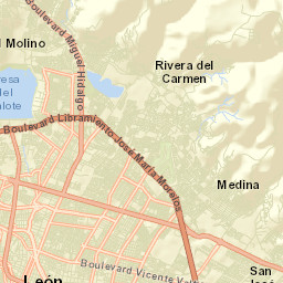 León de los Aldama Street Map
