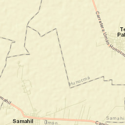Texan de Palomeque Street Map