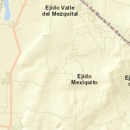Barrio de Guadalupe del Mezquitillo Street Map