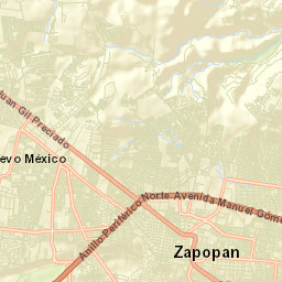Nuevo México Jalisco Street Map
