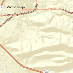 Zapotlanejo Street Map