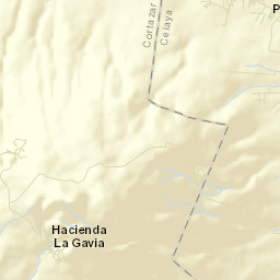 La Gavia Street Map