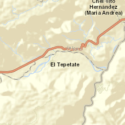Coronel Tito Hernández Street Map