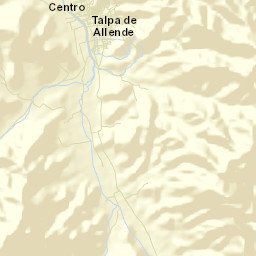 Talpa de Allende Street Map