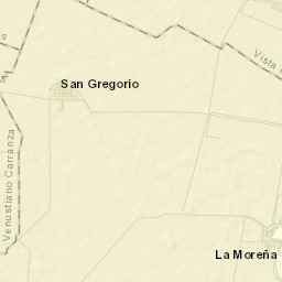 San Gregorio Street Map