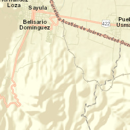Sayula Street Map