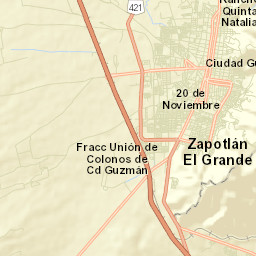 Zapotlán El Grande Municipality Street Map