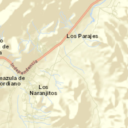 Tamazula de Gordiano Street Map