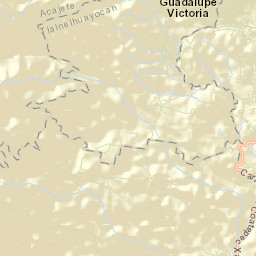 Guadalupe Victoria Street Map