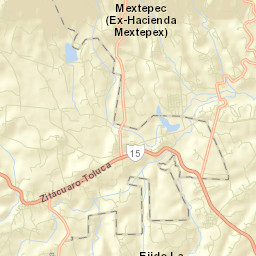 San Joaquín del Monte Street Map