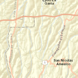 San Nicolás Amealco Street Map