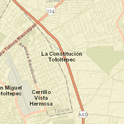 Colonia los Cedros Street Map