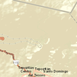 Santo Domingo Ocotitlán Street Map