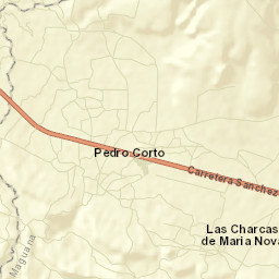 Pedro Corto Street Map