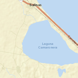 Salinas Street Map