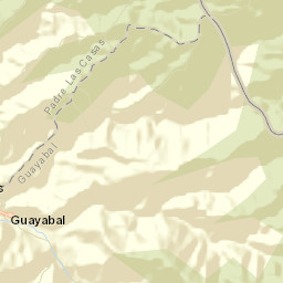 El Guayabal Street Map