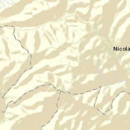 Nicolás Bravo Street Map
