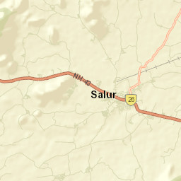 Salur Street Map