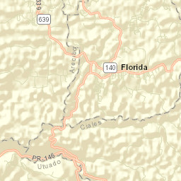 Estancias de Florida Street Map