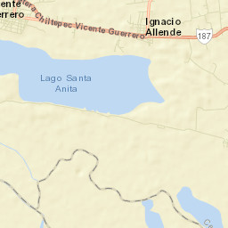 Ignacio Allende Street Map