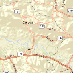 Gurabo Municipio Street Map