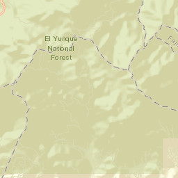 Naguabo Municipio Street Map