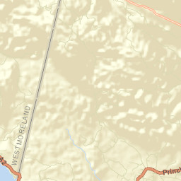 Petersville Street Map