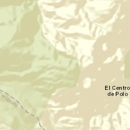 Polo Street Map