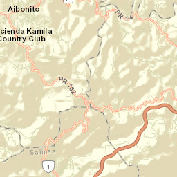 Aibonito Street Map
