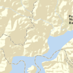 Nuevo Balsas Street Map