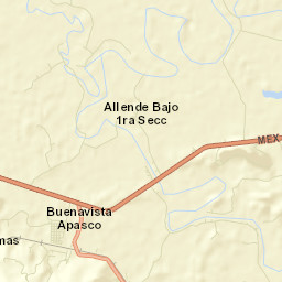 Buena Vista (Apasco) Street Map