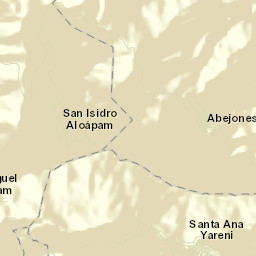 San Miguel Abejones Street Map