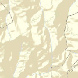 Zilacayotitlán Street Map