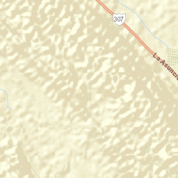 Nuevo Francisco León Street Map