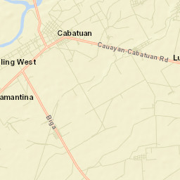 Cabatuan Street Map