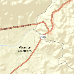Vicente Guerrero Street Map