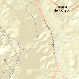 Chiapa de Corzo Street Map