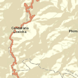 Pluma Hidalgo Street Map