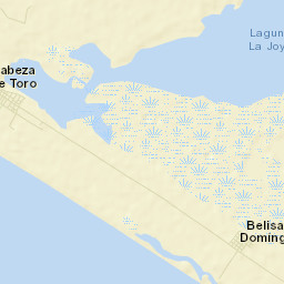 Doctor Belisario Domínguez (La Barra) Street Map