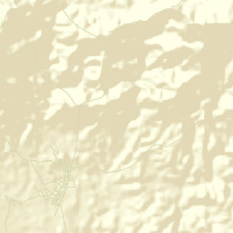 Pinalejo Street Map