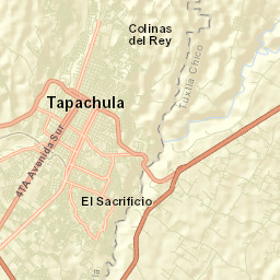 Tapachula Street Map