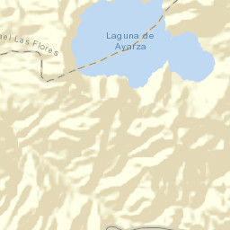 Municipio de Casillas Street Map