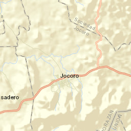 Jocoro Street Map